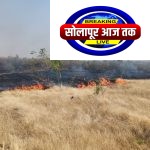 नंदेश्वर येथे वनपरिक्षेत्रातील वनराईला भीषण आग; अनेक वृक्ष जळून खाक, सुस्त वनविभाग कधी जागा होणार???