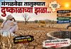 मंगळवेढा तालुक्याच्या दुष्काळी भागातील जनतेच्या अस्तित्वावर पुन्हा प्रश्नचिन्ह, पावसाने पाठ फिरवल्याने शेतीसह दुग्ध व्यवसाय संकटात; जनावरांसाठी चारा-पाण्याचा प्रश्न गंभीर — दुष्काळी तालुका जाहीर करून तातडीने उपाययोजना करण्याची मागणी