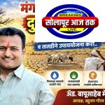 मंगळवेढा तालुका दुष्काळग्रस्त जाहीर करा; तातडीने उपाययोजना व मदत द्या, बहुजन गौरव प्रतिष्ठानचे अध्यक्ष ॲड. बापूसाहेब मेटकरी यांची मागणी